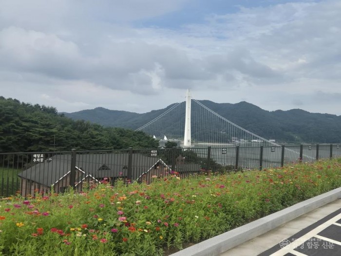 3.예당호 전망대 주차장 백일홍 개화 모습 (2).jpg