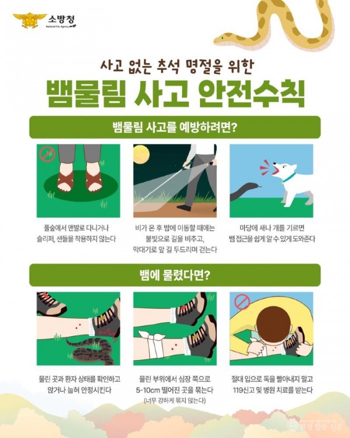 280901-4가을철 뱀 물림 사고 주의 당부).jpg