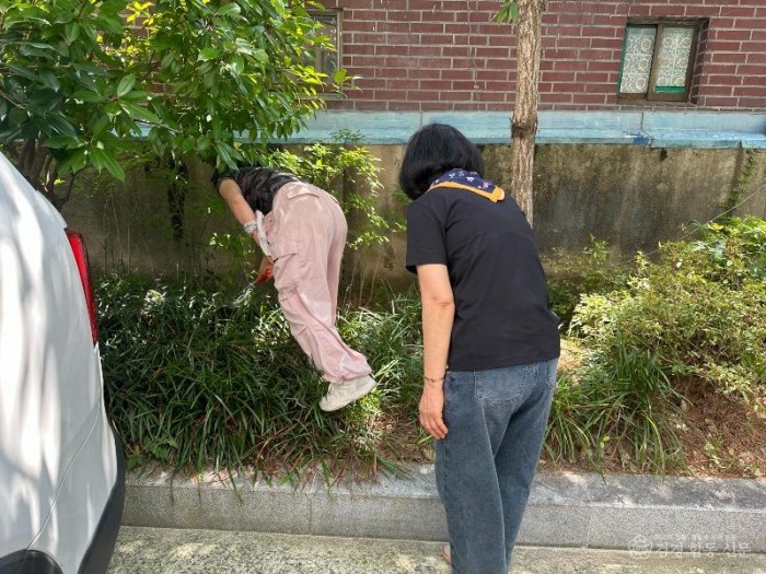260929-진해서부노인-환경정화작업3.jpg