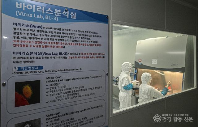 생물안전 3등급 연구시설 안에서 실험중인 모습.jpg