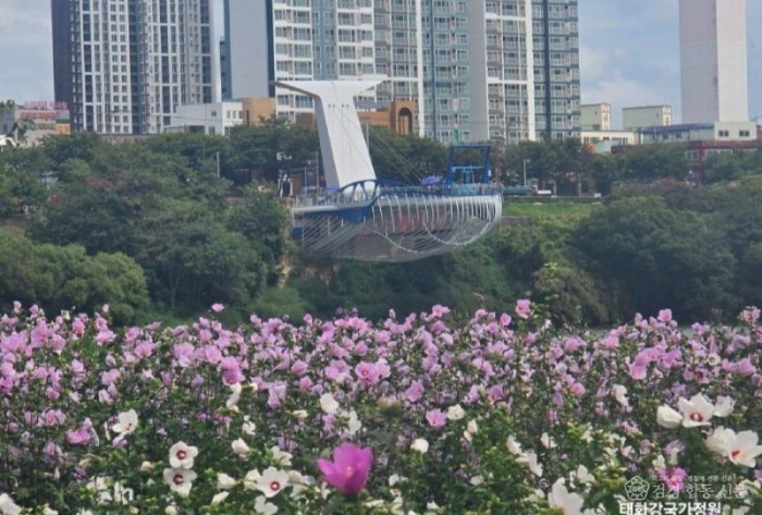 KakaoTalk_20261010_121158191_01.jpg