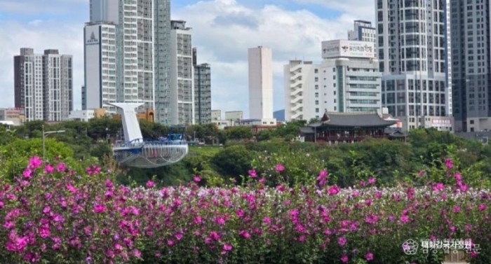 KakaoTalk_20261010_121158191.jpg