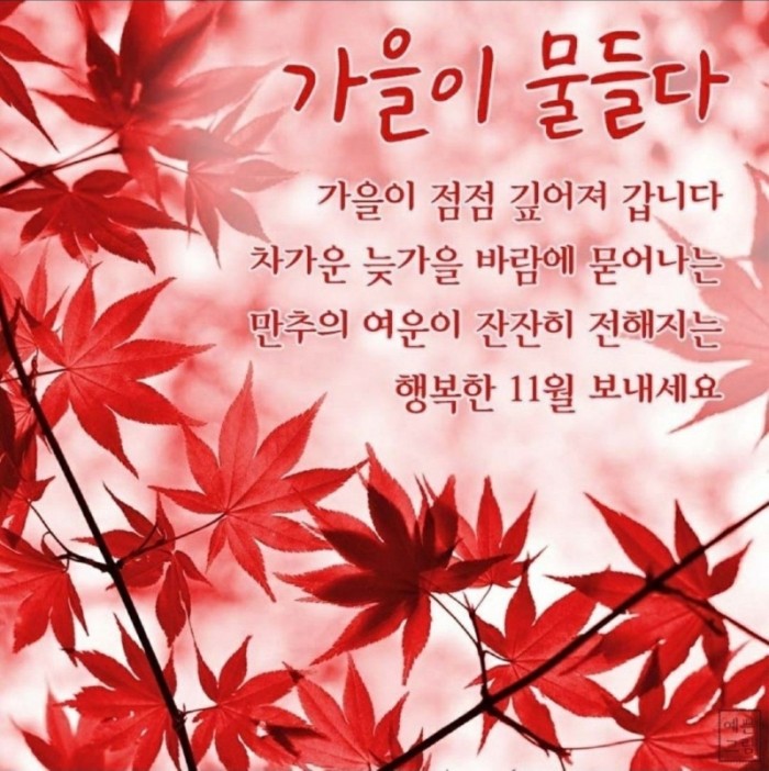KakaoTalk_20251104_085720026.jpg