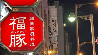 민간공공외교 활동 번개처럼  날아다니는  차세대리더  여장부 福豚 복돼지 최정원 대표