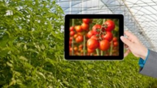 제1회 농업 위크 규슈, 5월 24일 개막… 주요 참가사 제품 10개 소개