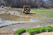 보령 농업의 미래 ‘2세대 빠르미’ 첫 모내기 실시