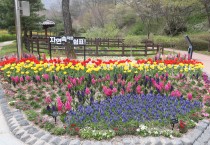 봄이 머무는 곳 ‘보령무궁화수목원’으로 떠나요