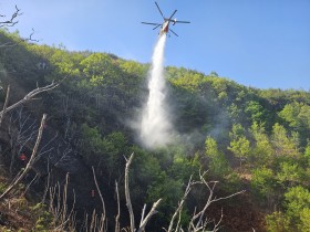 [전라남도] “한 순간의 부주의, 산 전체를 태운다”…광양시, 입산자 불법행위 전면 단속