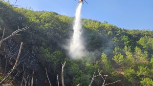 [전라남도] “한 순간의 부주의, 산 전체를 태운다”…광양시, 입산자 불법행위 전면 단속