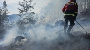 [광양시] 설 명절 산불방지 특별 대책 추진