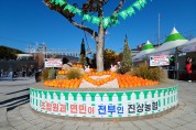 [광양시] 제3회 광양대봉감축제, 감수확 30% 감소에도 뜨거운 열기… 현장에서 본 진짜 ‘가을 축제’