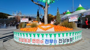 [광양시] 제3회 광양대봉감축제, 감수확 30% 감소에도 뜨거운 열기… 현장에서 본 진짜 ‘가을 축제’