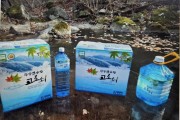 [광양시] 천혜 자연의 생명수, 광양백운산 고로쇠 수액 본격 판매