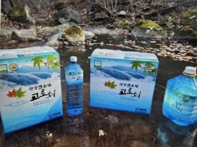 [광양시] 천혜 자연의 생명수, 광양백운산 고로쇠 수액 본격 판매