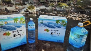 [광양시] 천혜 자연의 생명수, 광양백운산 고로쇠 수액 본격 판매