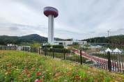 예산군, 삭막했던 예당호 주차장 인근 백일홍 ‘활짝’