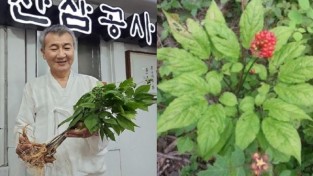 (주)한국산삼공사, (주)한국산삼원을 통해 글로벌 공략 본격가동 전 세계 50개국, 1만여 명이 참여한 필리핀 블록체인 위크서 심본당 호평 받아