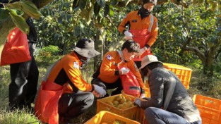 함안소방서, 가을철 농촌 일손 돕기 나서