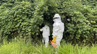 창원소방본부, 추석 명절 벌초·성묘 시 ‘벌 쏘임 주의’ 당부
