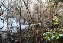 창원소방본부, 봄철 산불 주의 당부