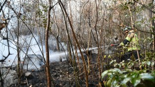 창원소방본부, 봄철 산불 주의 당부
