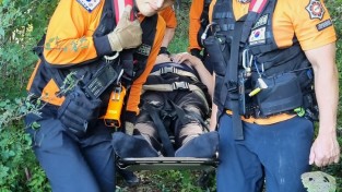 마산소방서, 한가위 성묘시 벌쏘임 주의 당부