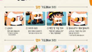 의창소방서, 추석 맞아 기도 폐쇄 응급처치법 홍보