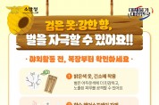 의창소방서, 벌 쏘임 사고 주의 당부
