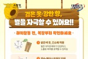 의창소방서, 벌 쏘임 사고 주의 당부
