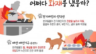 의창소방서, 반려동물에 의한 화재 주의 당부