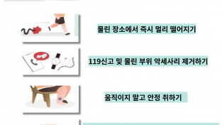 성산소방서, 뱀물림 사고 조심 당부