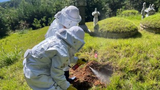 경남소방본부, 올 추석 벌 쏘임 위험 최고조…벌초객 안전 비상