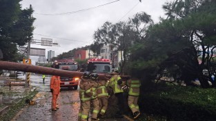 창원소방본부, 제11호 태풍 ‘힌남노’ 피해 대응 ‘총력