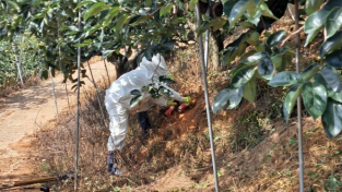 창원소방본부, 가을철 벌 쏘임 사고 주의 당부