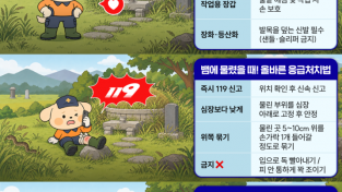 의창소방서, 추석 성묘·벌초 시 뱀물림 사고 조심