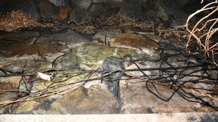 창원소방본부, 봄철 부주의 화재 예방 당부