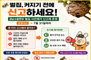 경남소방본부, 여름·가을철 벌 쏘임 사고 80% 집중  “직접 제거 말고 119로 신고하세요”