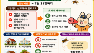 경남소방본부, 여름·가을철 벌 쏘임 사고 80% 집중  “직접 제거 말고 119로 신고하세요”