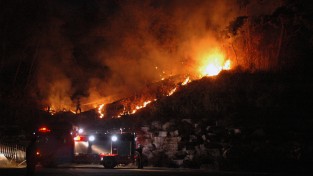 성산소방서, 봄·겨울 환절기 산불 주의 당부