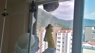 창원소방본부, 벌 쏘임 예방과 대처 방법 재강조