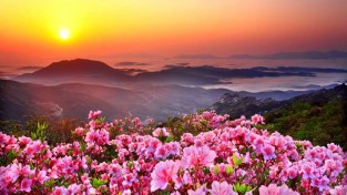 5월 가정의달 맞아 홀몸 어르신을 위한 사랑의 카네이션 달아드리기 나눔