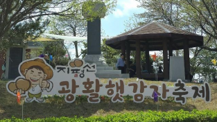 제15회 지평선 광활 햇감자축제, 강풍 속에서도 무사히 성료