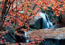 [광양시] 광양시, 만추의 "백운산 꼭 가봐야 할 5가지" 이유
