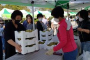 [전라남도] 전남도 농업박물관 "주말농부장터" 성황