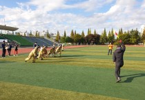 [전라남도] 전남의용소방대, "기술경연대회 1위" 쾌거