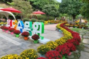 [전라남도] 완도수목원 "국화향 가득" 가을산책 즐기세요