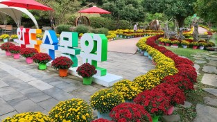 [전라남도] 완도수목원 "국화향 가득" 가을산책 즐기세요