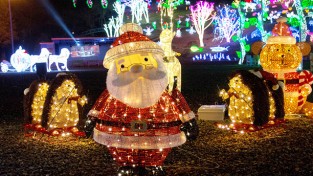 [광양시] 광양시, 크리스마스엔 "미술관 데이트" 어때요?