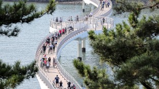 [광양시] 두 바퀴로 수놓은 "아름다운 섬진강자전거길"