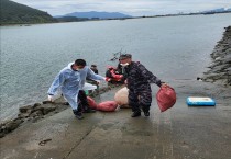 [광양시] 하천·해양 "수중정화활동"